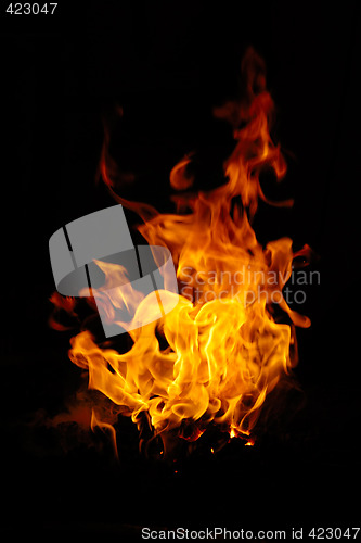 Image of Fire