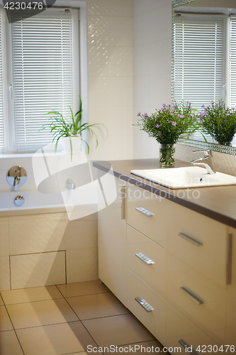 Image of Bathroom interior with flowers