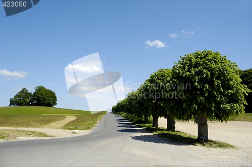 Image of Road and nature