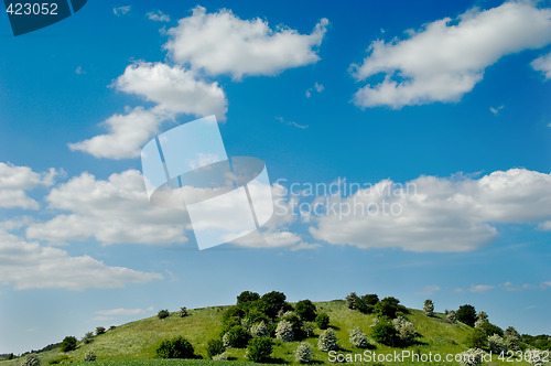 Image of Hill