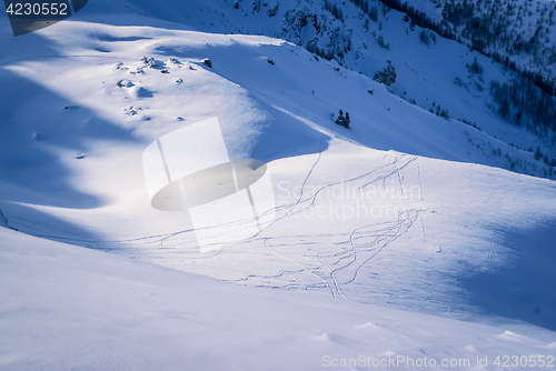 Image of Prints of ski