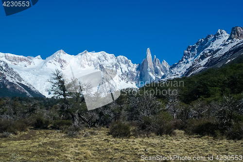 Image of Wild nature in Argentina