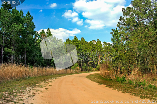 Image of Sandy Road