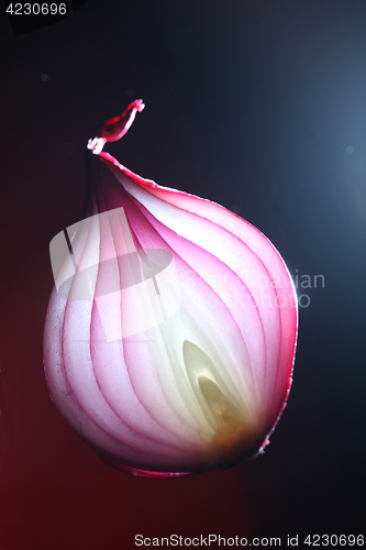 Image of Onions
