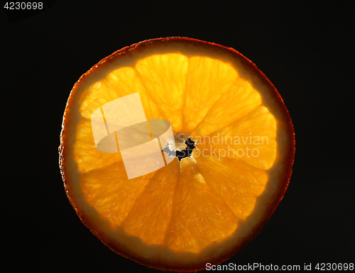Image of Orange slice