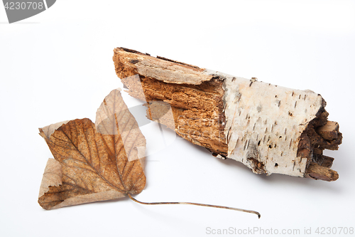 Image of Leaf