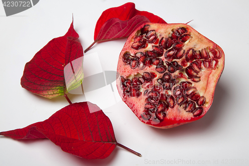 Image of Pomegranate