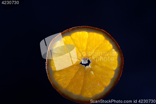 Image of Orange slice