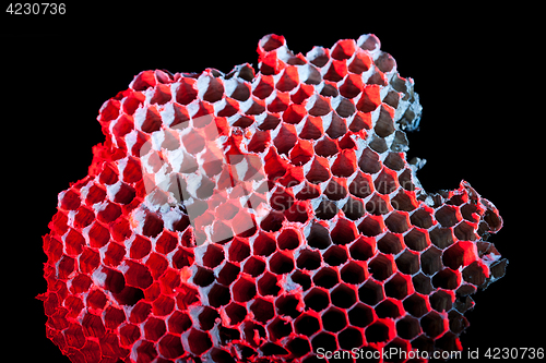 Image of honeycomb