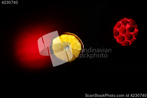 Image of Orange slice