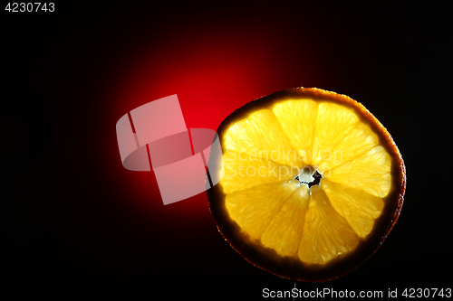 Image of Orange slice