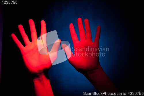 Image of Two Red hand