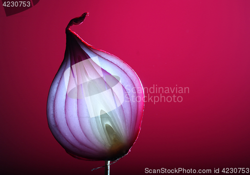 Image of Onions