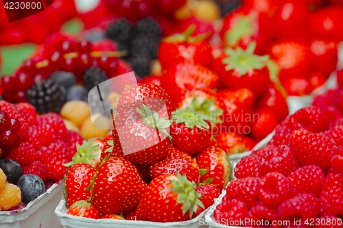 Image of Fresh fruit mix