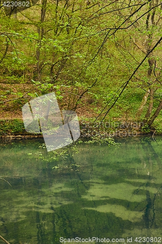 Image of Small lake with trees