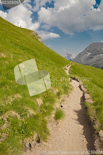 Image of Alpine Summer Landscape