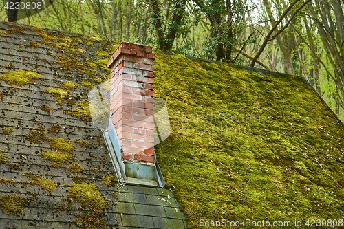 Image of Roof with moss growing