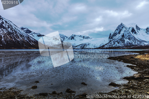 Image of low tide