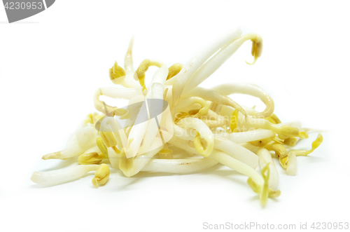 Image of Pile of bean sprouts