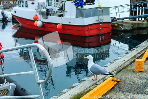 Image of harbor checking