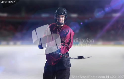 Image of hockey player portrait