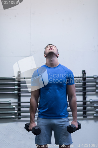 Image of weight training fitness man