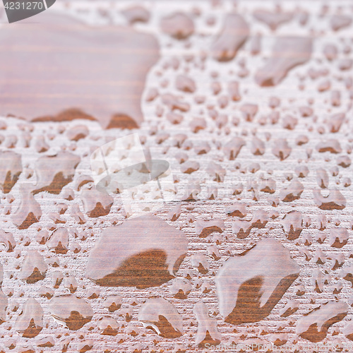 Image of Closeup rain drops