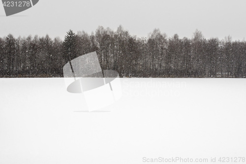 Image of Frozen lake in winter