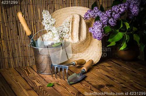 Image of Gardening tools and a branch of a blossoming white lilac