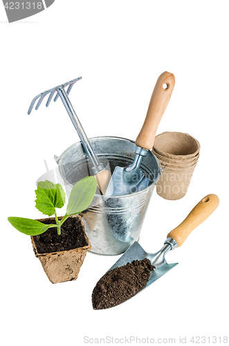 Image of Garden tools for planting, isolated on white