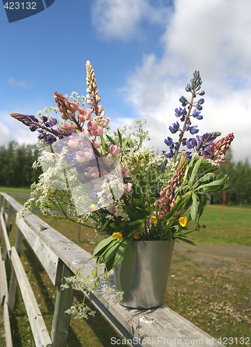 Image of Wild flowers