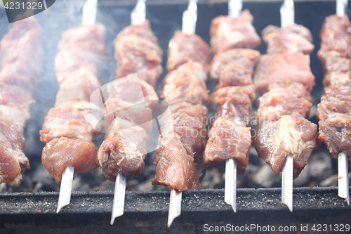 Image of Grilling marinated shashlik on a grill. Shish kebab popular in Eastern, Central Europe and other places. 