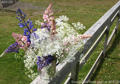 Image of Wild flowers