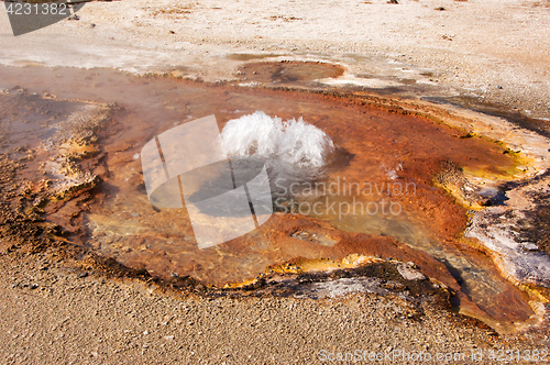 Image of Yellowstone National Park, Utah, USA