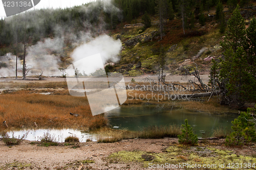 Image of Yellowstone National Park, Utah, USA