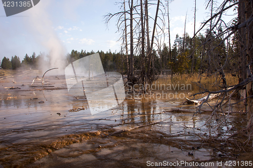 Image of Yellowstone National Park, Utah, USA