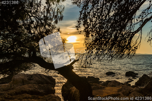 Image of Zadar, Dalmatia, Croatia