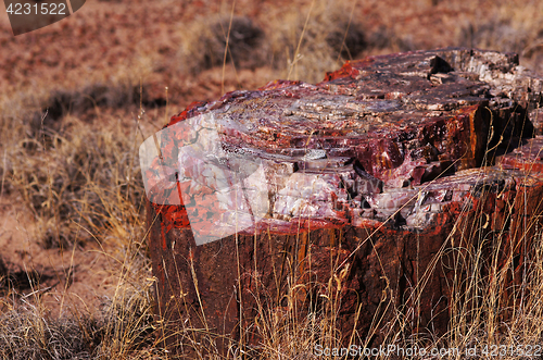 Image of Petrified-Forest-National-Park, Arizona, USA