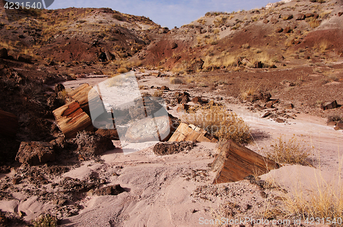 Image of Petrified-Forest-National-Park, Arizona, USA