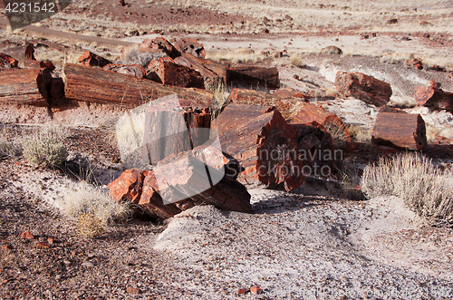 Image of Petrified-Forest-National-Park, Arizona, USA