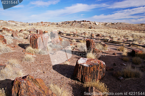 Image of Petrified-Forest-National-Park, Arizona, USA