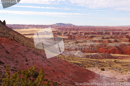 Image of Petrified-Forest-National-Park, Arizona, USA