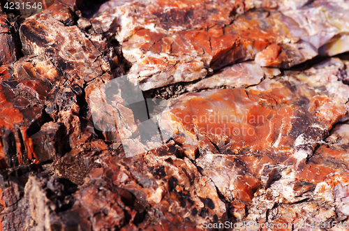 Image of Petrified-Forest-National-Park, Arizona, USA