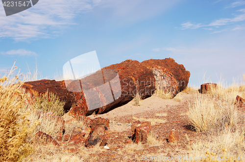 Image of Petrified-Forest-National-Park, Arizona, USA