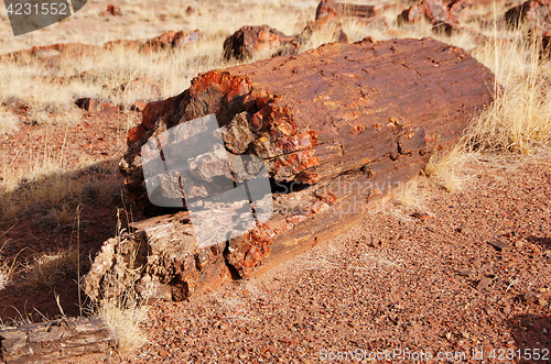 Image of Petrified-Forest-National-Park, Arizona, USA