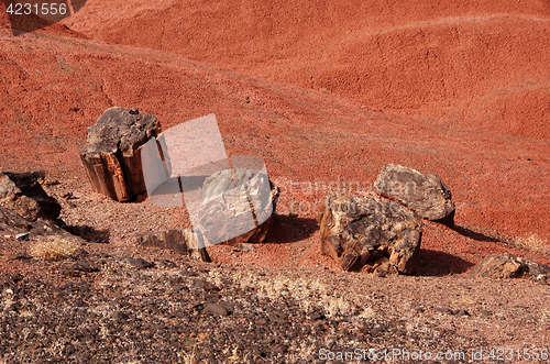 Image of Petrified-Forest-National-Park, Arizona, USA