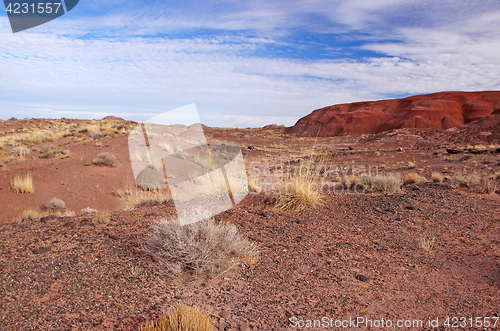 Image of Petrified-Forest-National-Park, Arizona, USA