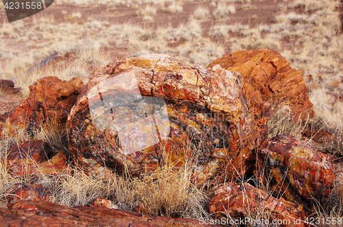 Image of Petrified-Forest-National-Park, Arizona, USA