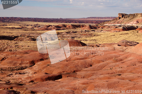 Image of Petrified-Forest-National-Park, Arizona, USA