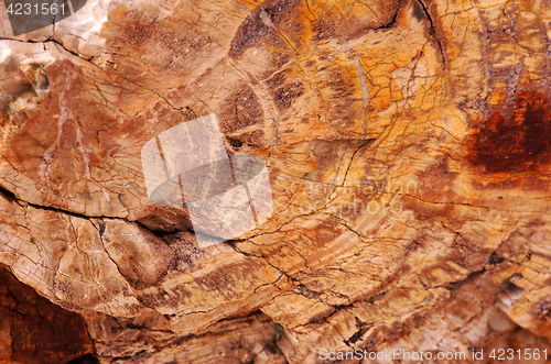 Image of Petrified-Forest-National-Park, Arizona, USA